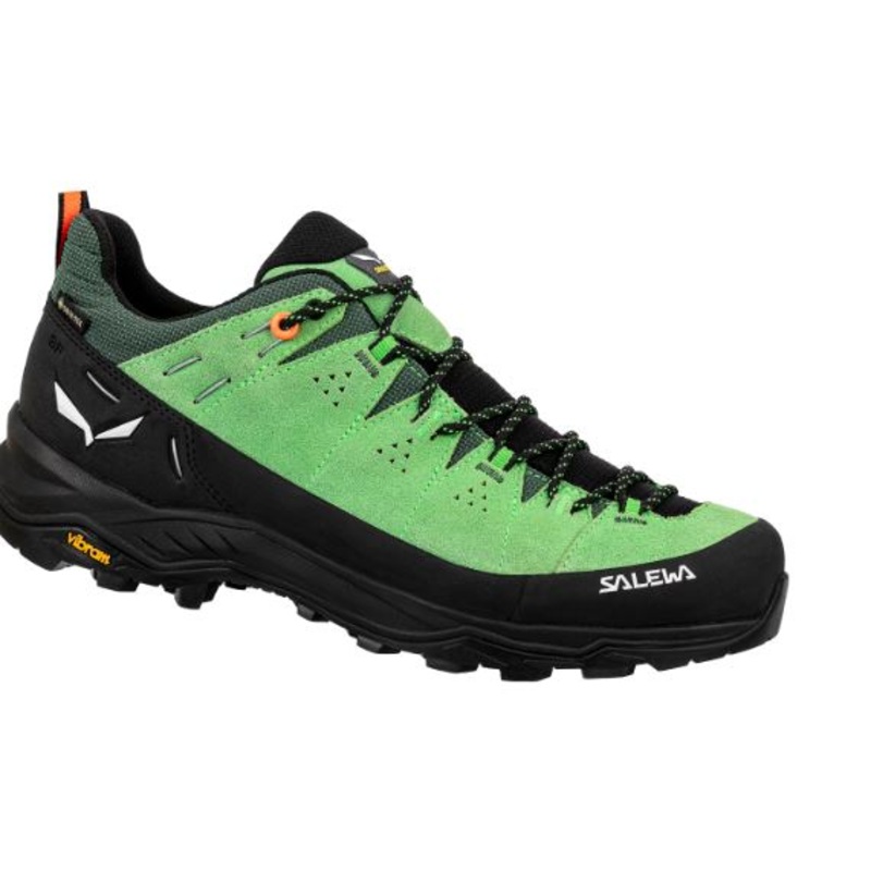 SALEWA Men's Alp Trainer 2 Mid Gtx