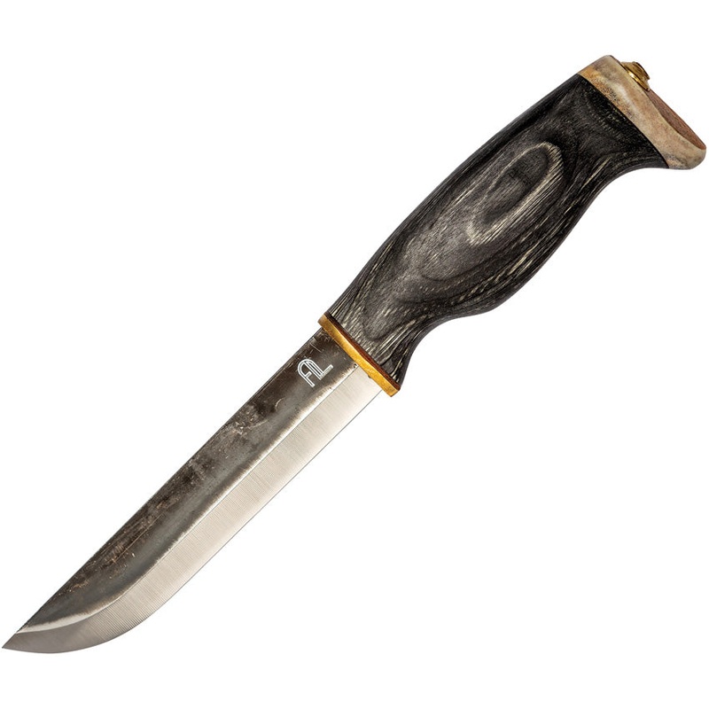 Arctic Legend Bear Black Curly Birch Carbon Steel Fixed Blade Knife 897