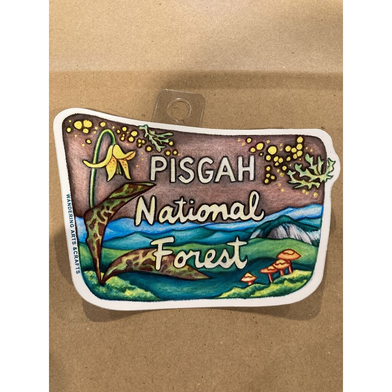 Wandering Arts Pisgah National Forest